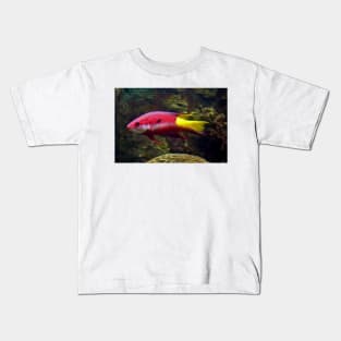 Cuban Hogfish Kids T-Shirt